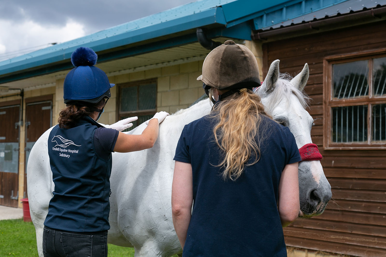 Equine Back Pain - Image 1
