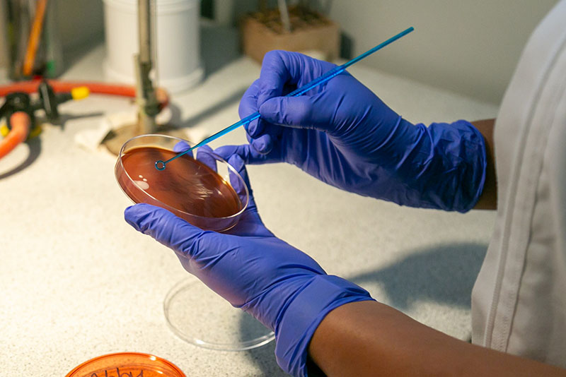 Equine Laboratory At Endell Equine - Image 1