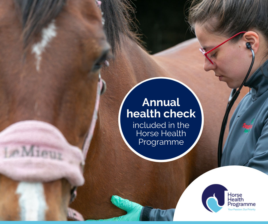 Horse Health Plan Promotional Poster